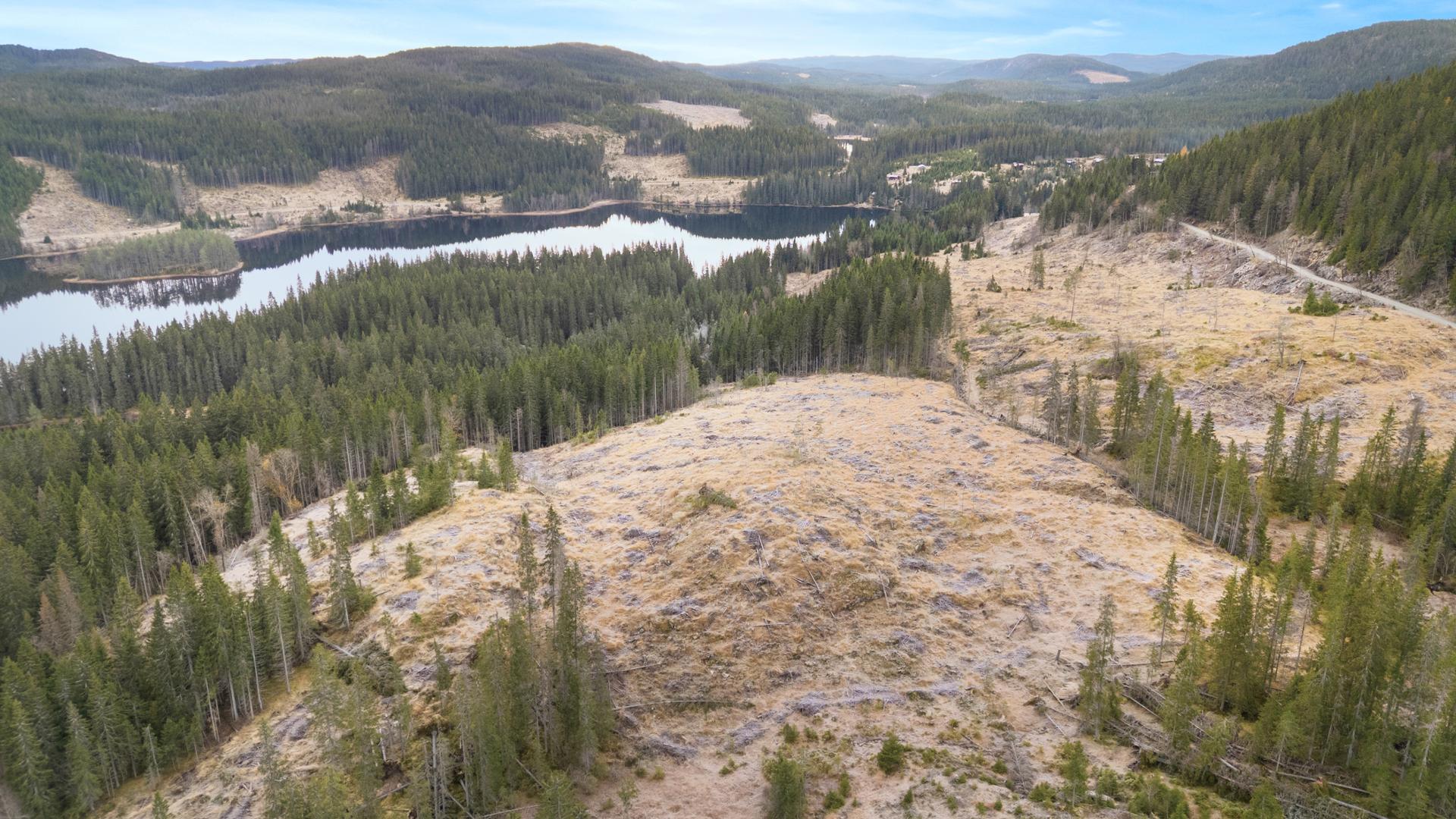 Mylla/Kingesnålen - Detaljregulert tomtefelt selges samlet - Totalt 26 mål - 8 fradelte tomter til hyttebebyggelse. Bilde nummer 2 av 3