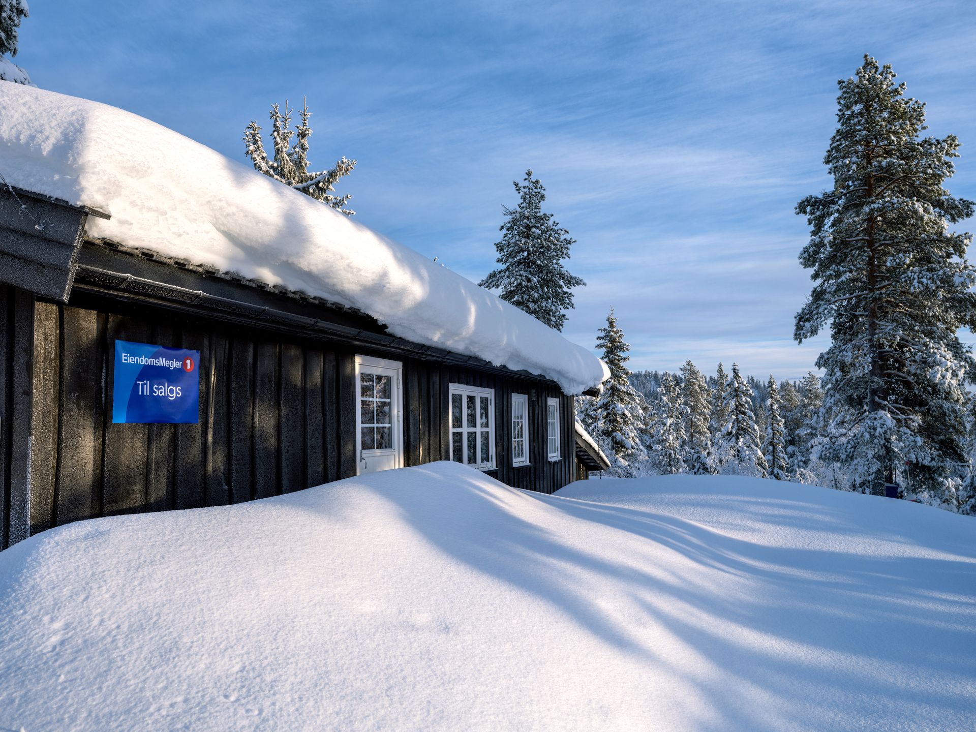 Svart hyttevegg, snø på bakken og på trærne. Til salgs-skilt på veggen. Foto
