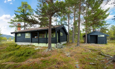 Bilde av eiendommen