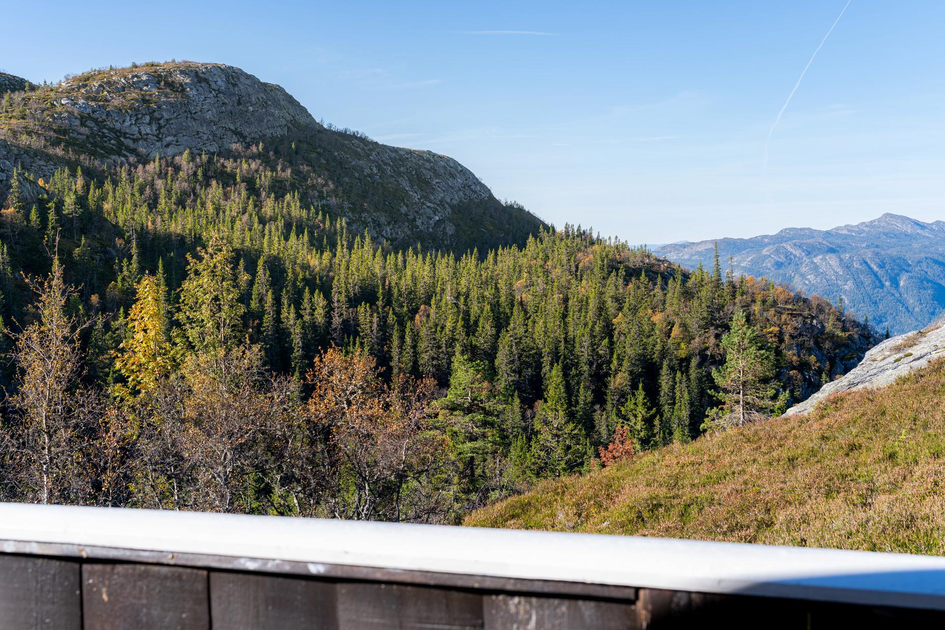 Her bor du usjenert og idyllisk, med flotte turområder rett utenfor døren. . Bilde nummer 2 av 3