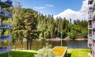Bilde av eiendommen