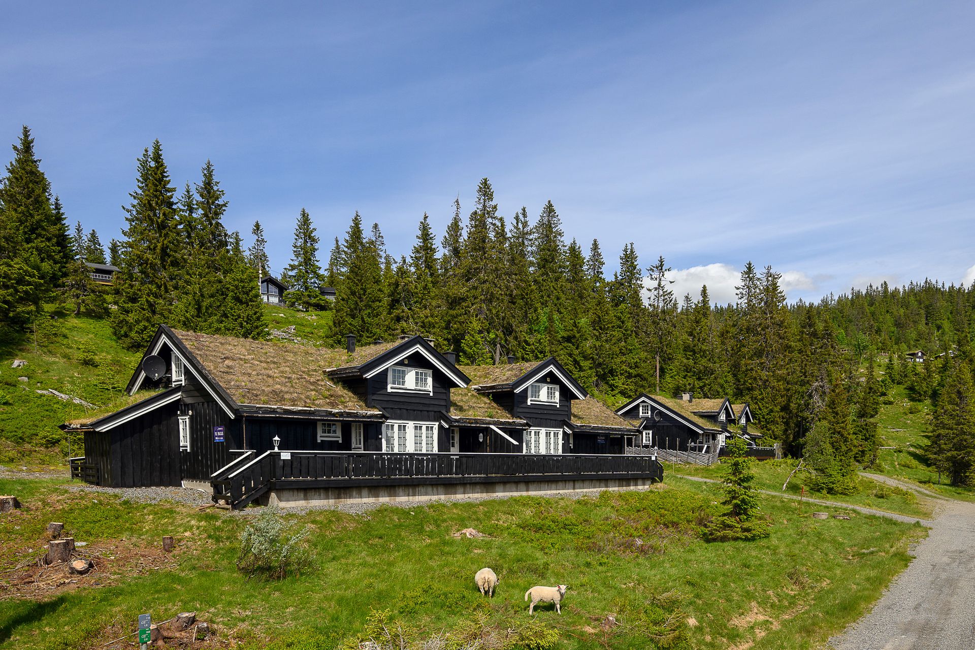 Velkommen til Øvre Heggberglia 55B! Foto: Lars Marius Bækkevold.. Bilde nummer 1 av 3