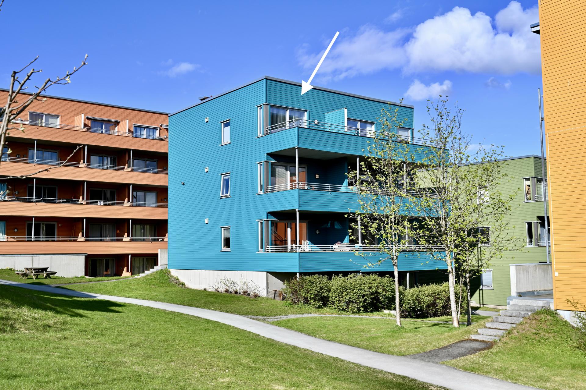  Bilde nummer 2 av 3