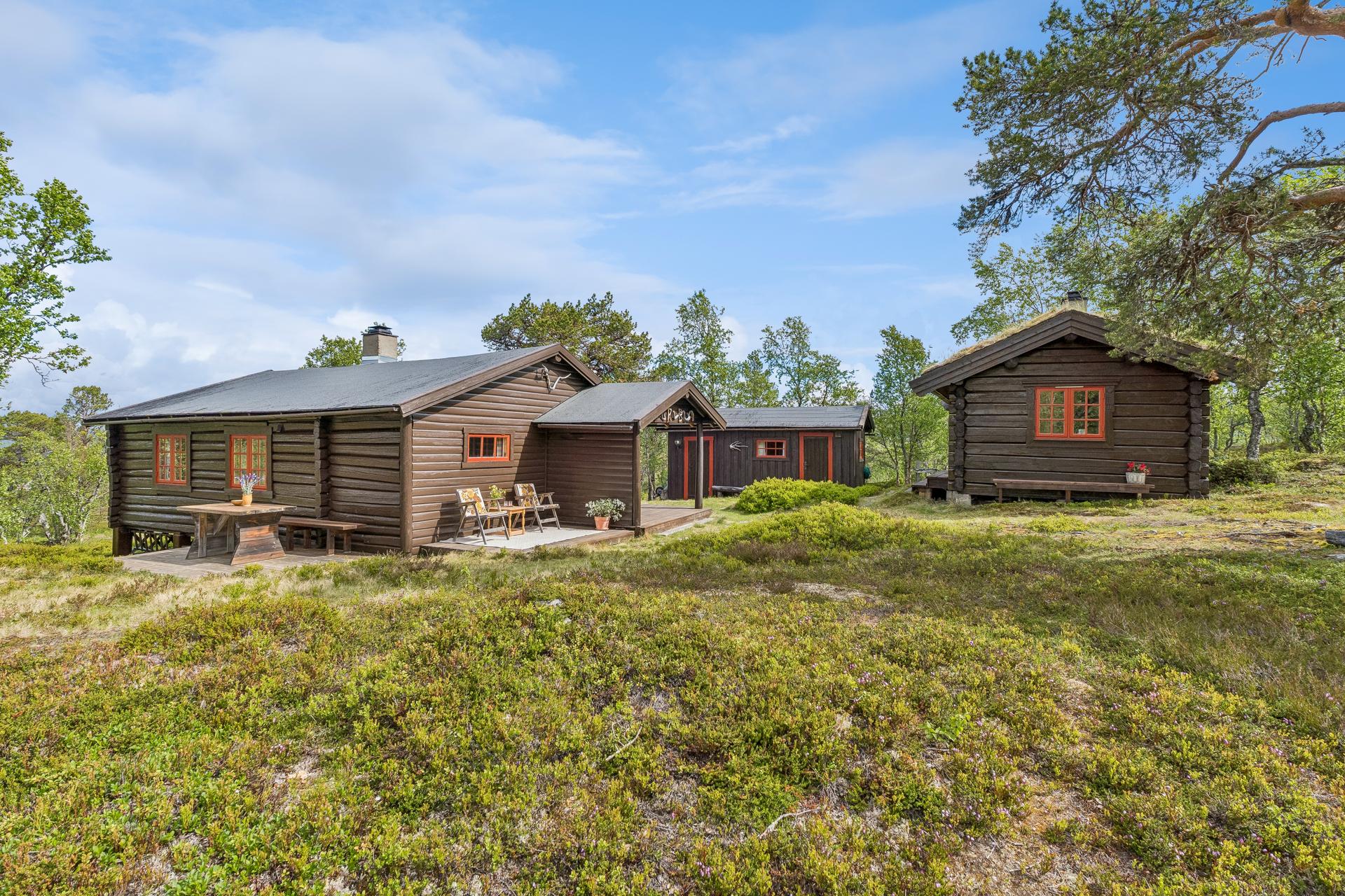 Velkommen til Bjønnliåsen 171! Foto: Martin Rindalsholt. Bilde nummer 1 av 3