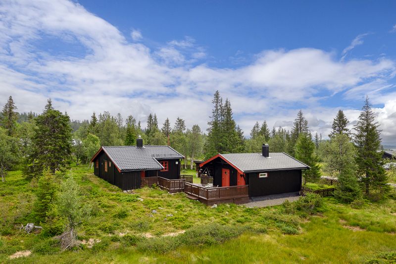 Aksjøen 77