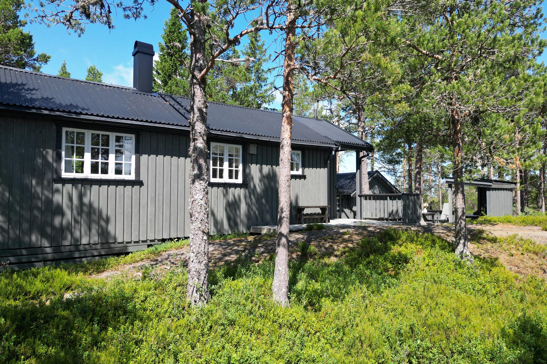 EiendomsMegler 1 ved Oliver Almli Reinås presenterer: Fjellvegen 326.. Bilde nummer 1 av 3