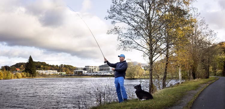 Bilde fra området