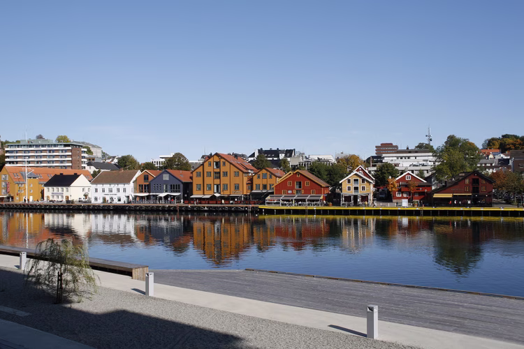 Bilde fra området