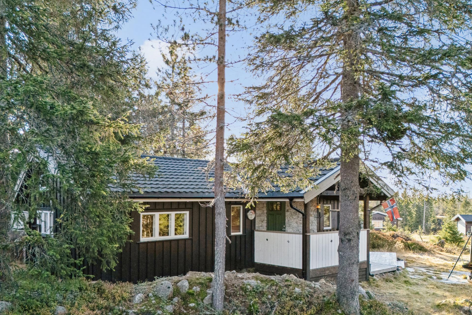 Det er helårsveg til hytta og god plass til parkering utenfor hytta.. Bilde nummer 3 av 3