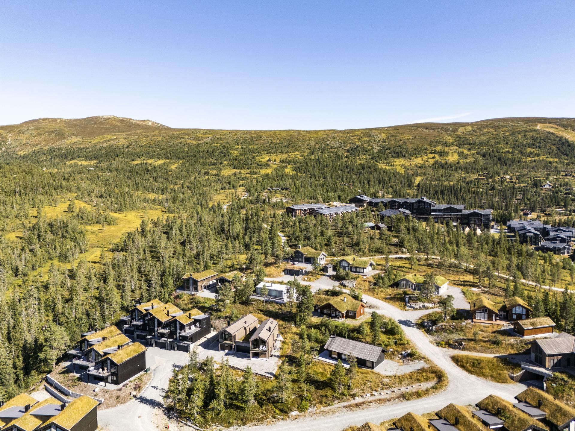 Solrik og ettertraktet beliggenhet på Bøsetra ca. 798 moh.. Bilde nummer 3 av 3
