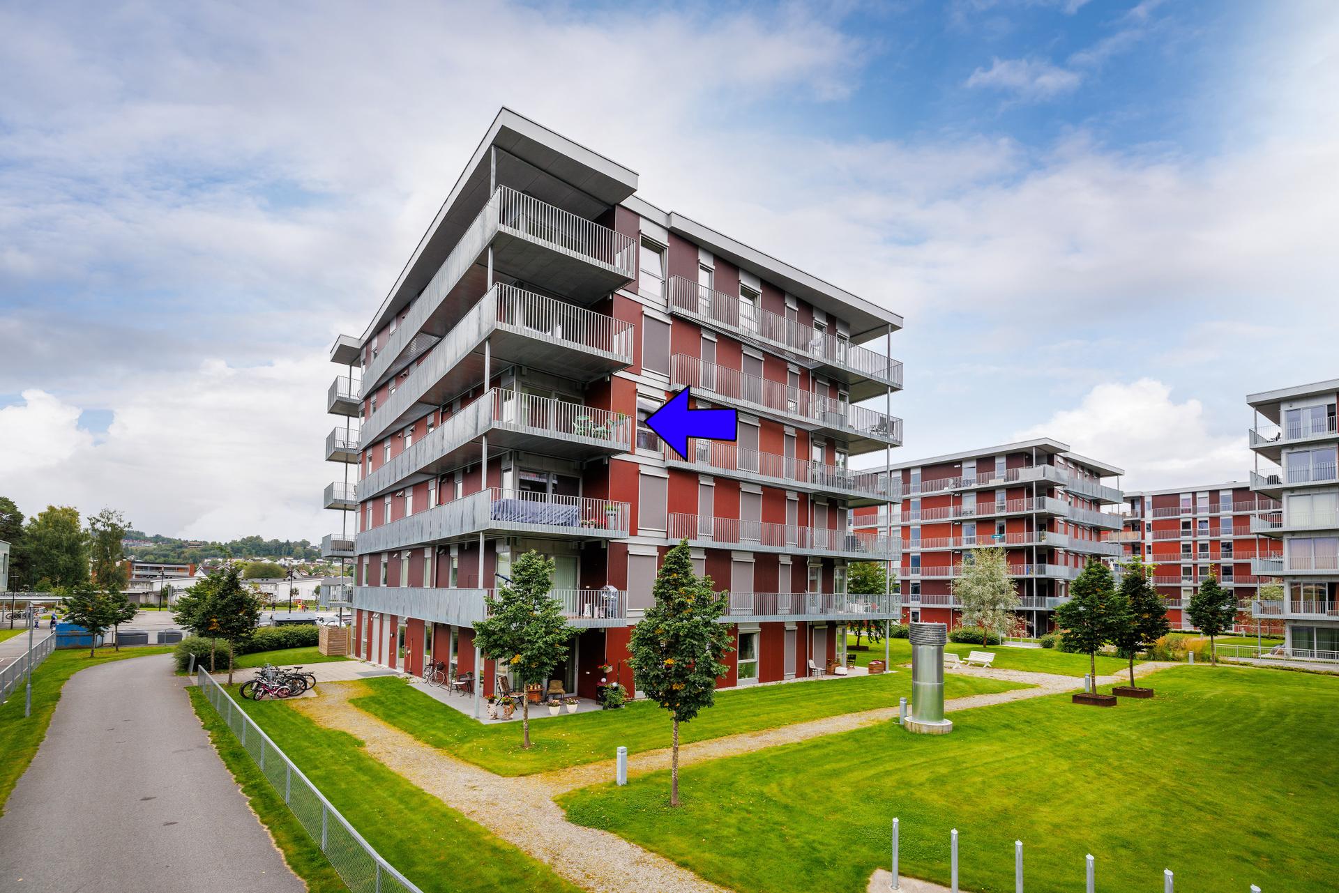 Velkommen til Elveparken! Foto: Normann Foto AS. . Bilde nummer 1 av 3