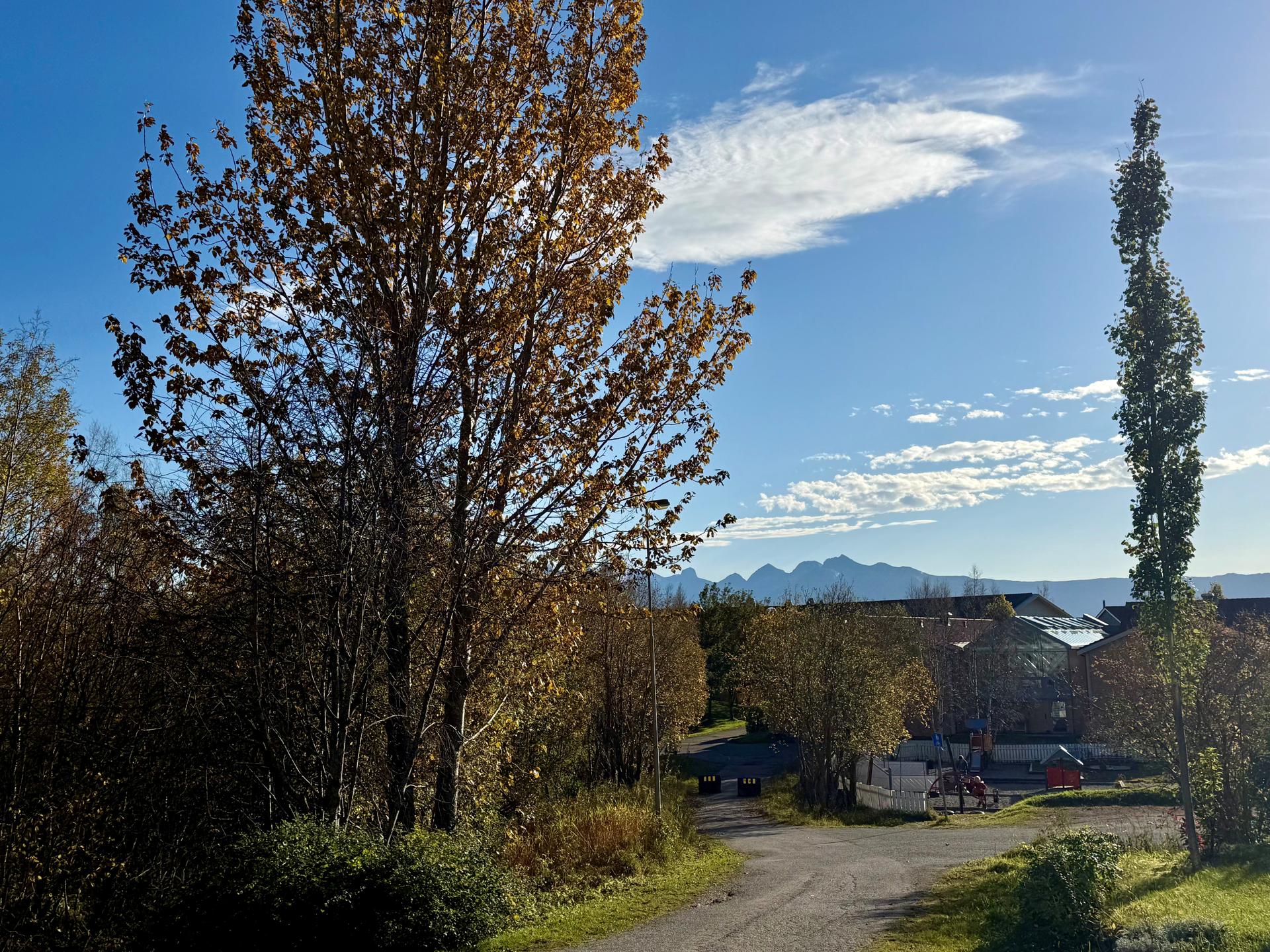 Eiendommen har en rolig beliggenhet med umiddelbar nærhet til turstier og løypenettet i Bodømarka.. Bilde nummer 2 av 3