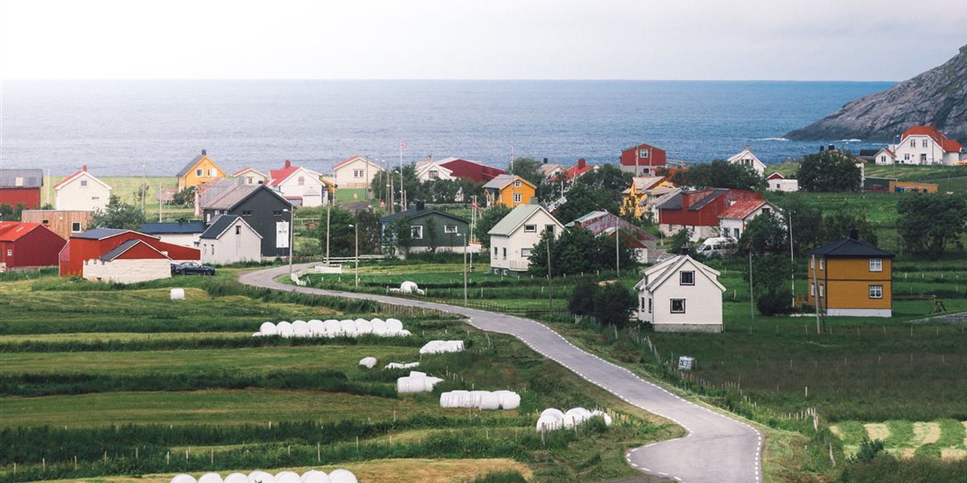Utsikt over et boligområde ved sjøen. Grønne jorder og små hus. Bilde.
