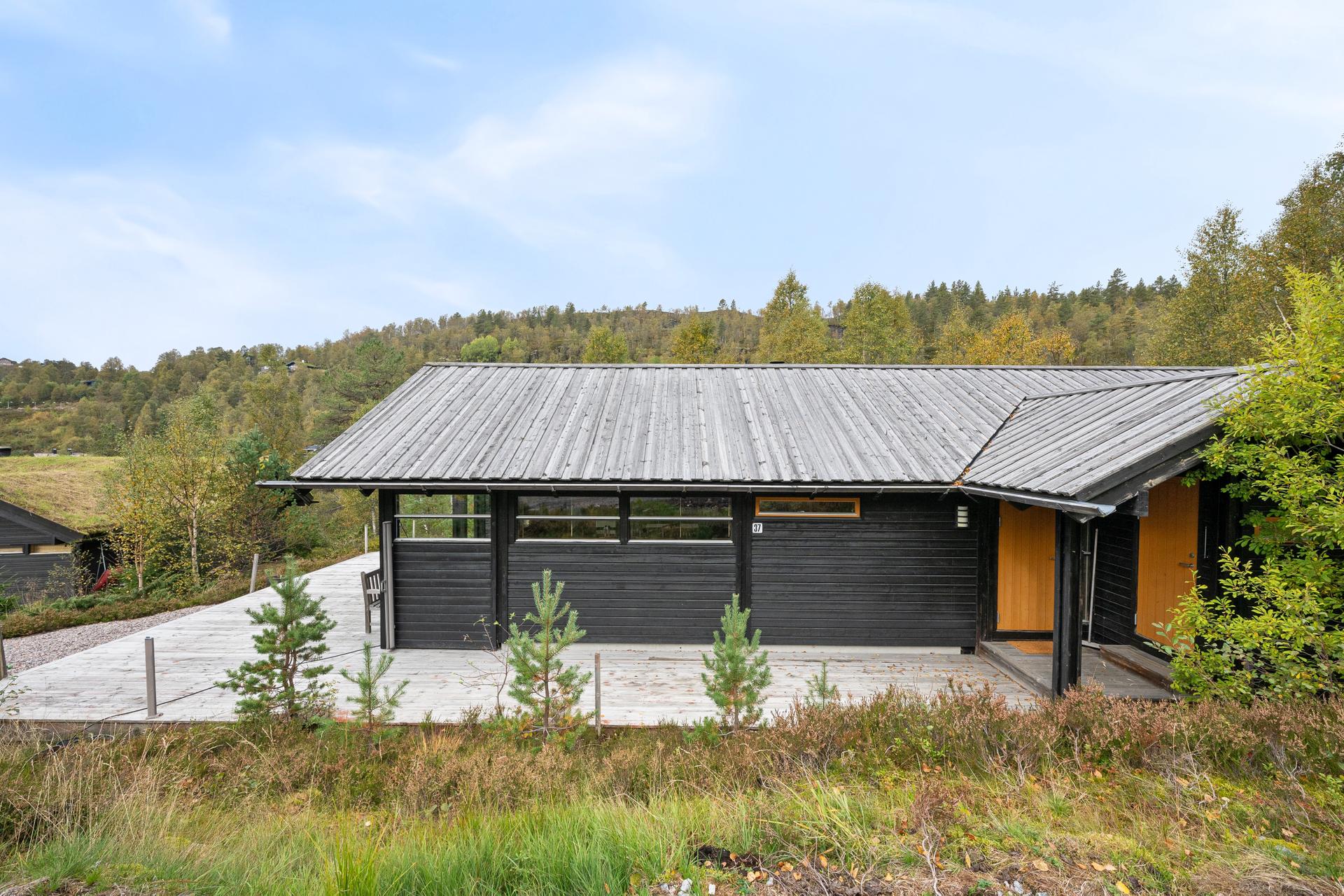Dan Chruickshank presenterer: Meget sentralt plassert Ål-hytte m/direkte kontakt til naturen og rett i skisporet. 11 sengeplasser + hems. Bad m/badstu.. Bilde nummer 2 av 3