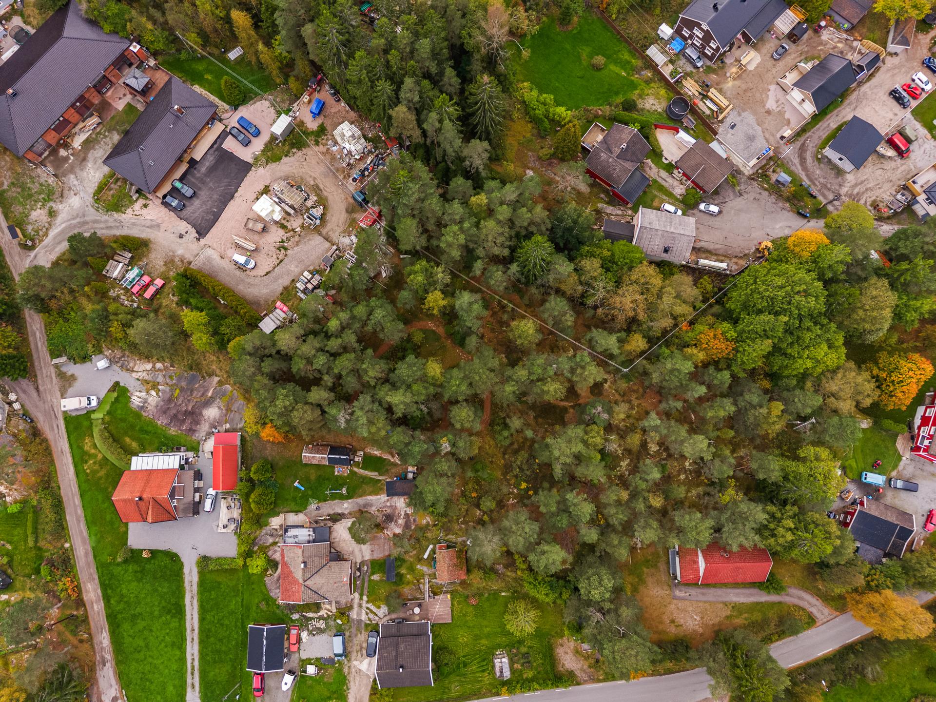 Tomten er preget av furutrær og naturlig terreng, omkranset av etablert villabebyggelse.. Bilde nummer 3 av 3
