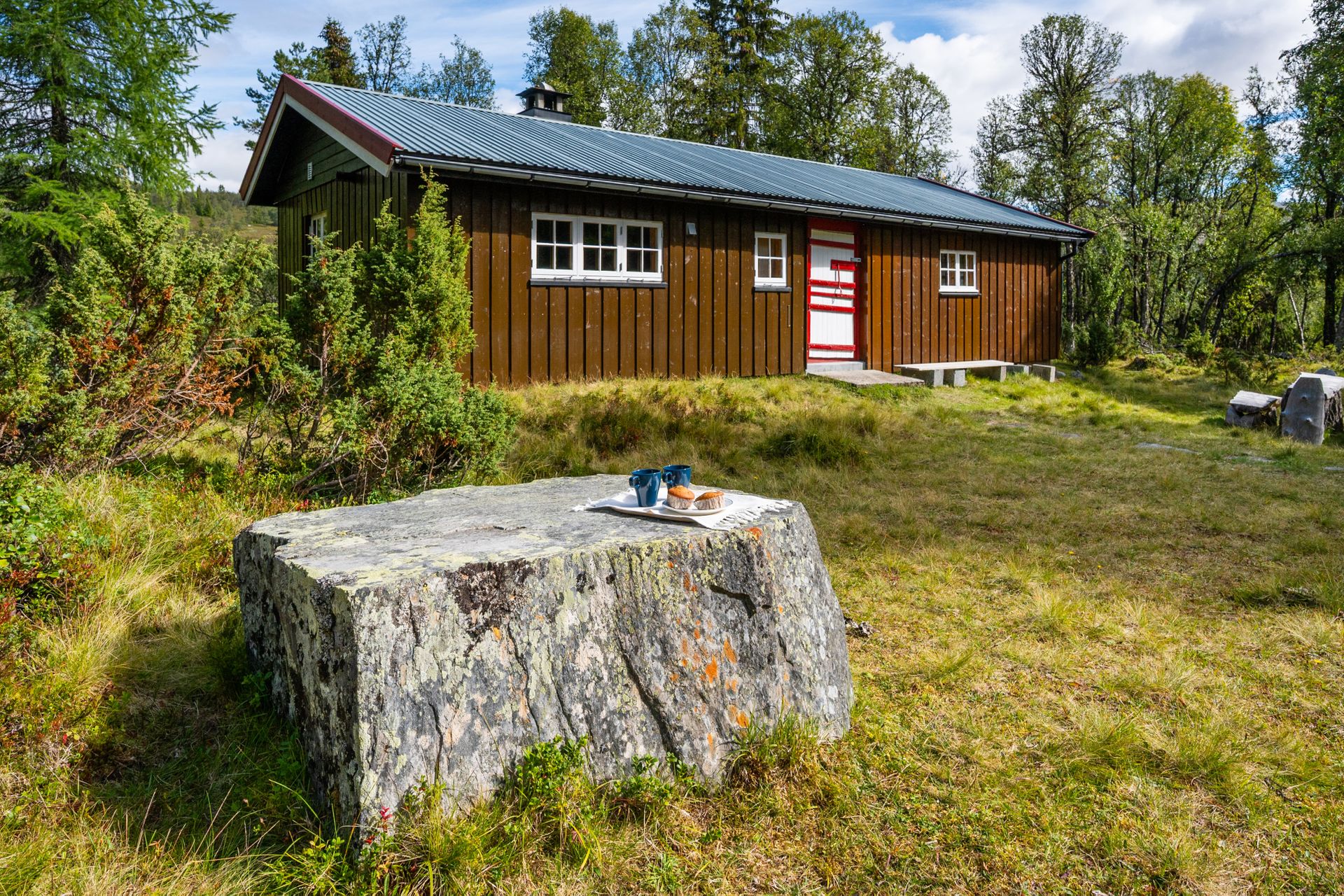 Eiendommen ligger usjenert og fredelig til på Mysusæter, ca 880 moh.. Bilde nummer 3 av 3
