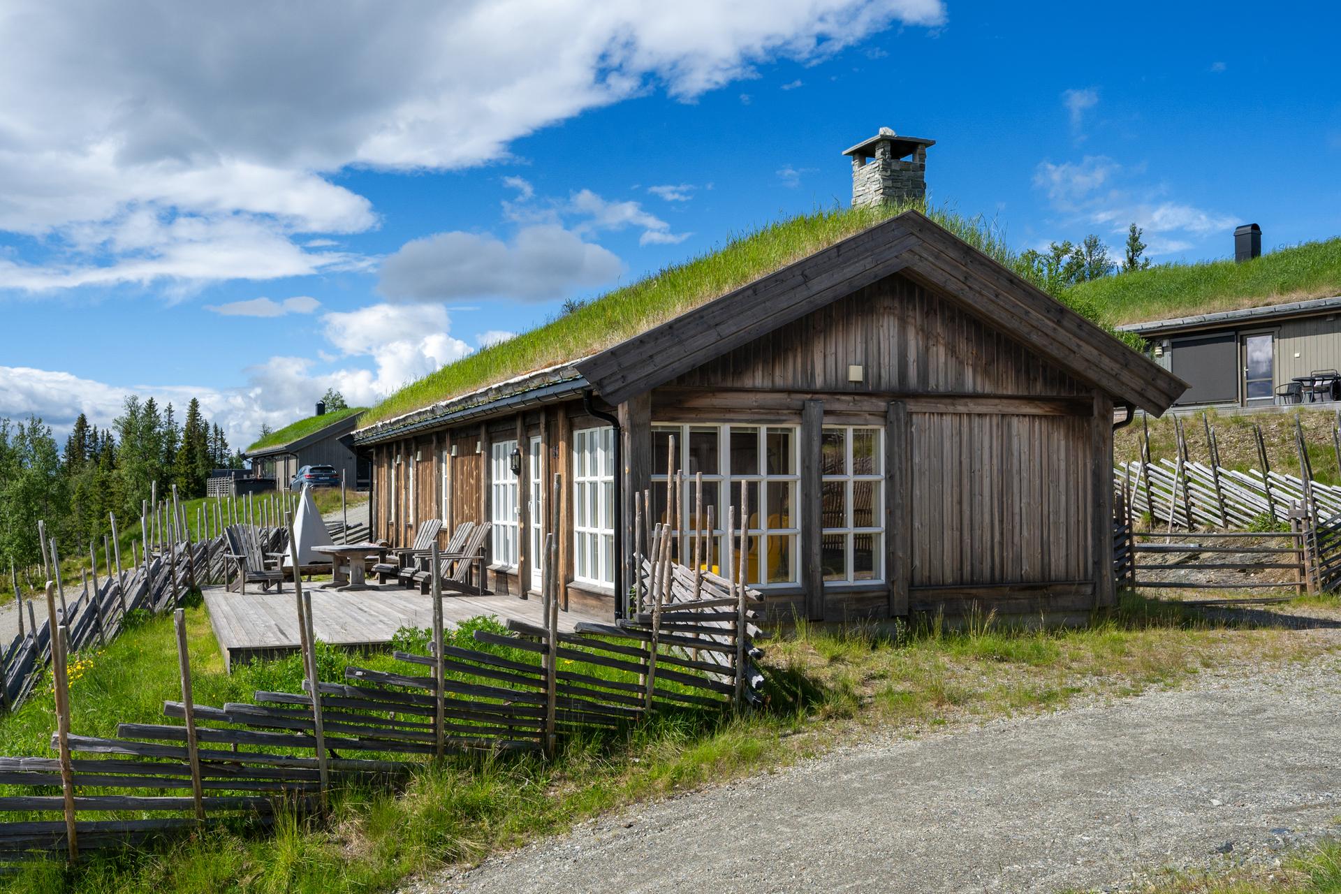 Solrik terrasse med dør ut fra stuen . Bilde nummer 3 av 3