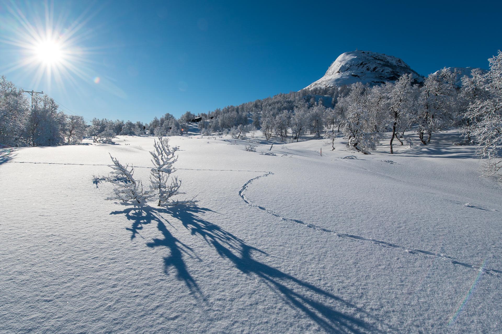 Hyttetomt i Åsliane ved flotte Gullingen. Nydelig natur, langstrakte skiløyper og nærhet til skitrekk.. Bilde nummer 1 av 3