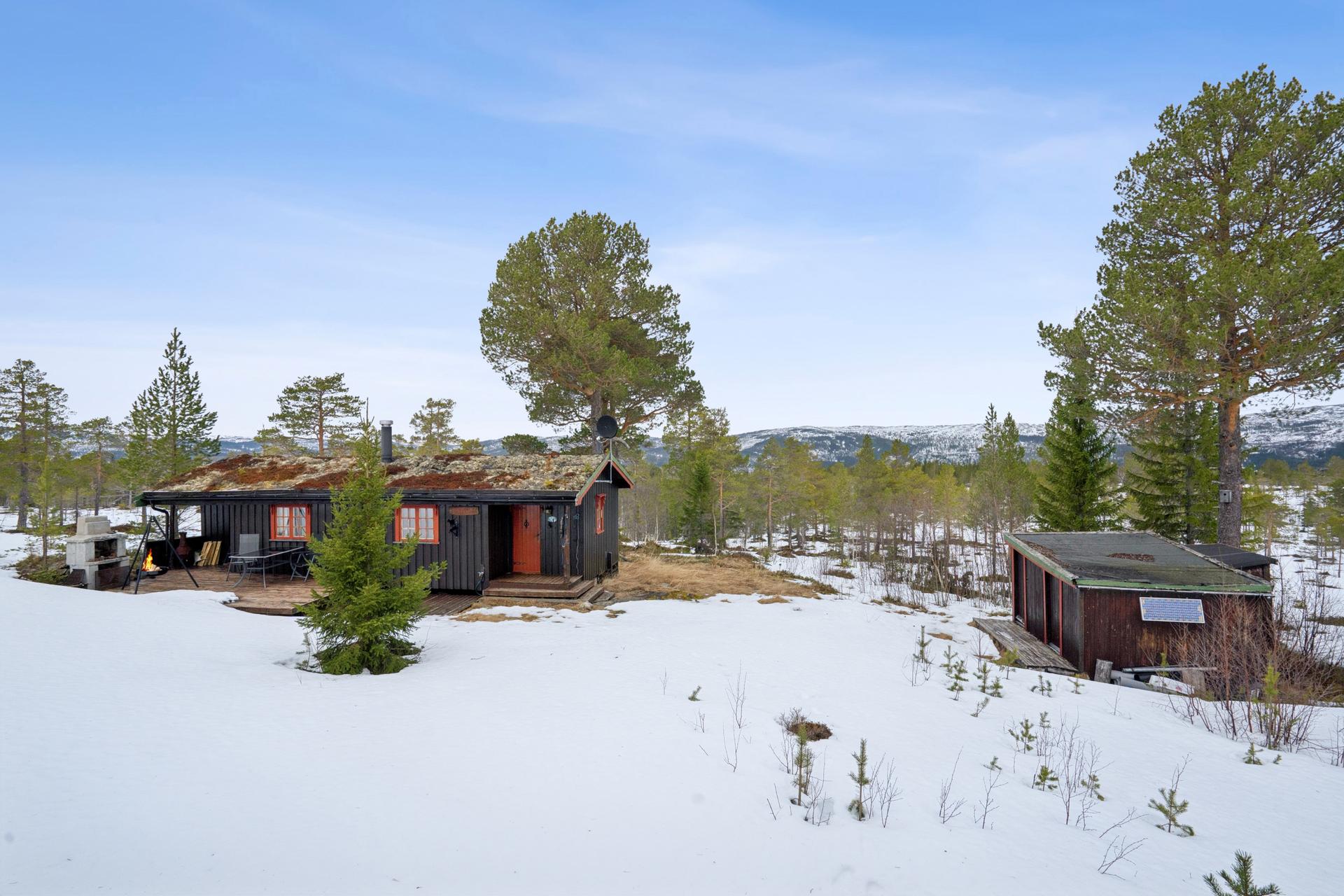 Nekkåbjørga 276 ligger i et rolig og naturskjønt område i Flaknan i Selbu, omgitt av skog, åpent kulturlandskap og vidstrakt natur.. Bilde nummer 3 av 3