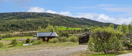 Lomsjødalsveien 448, ALVDAL - More