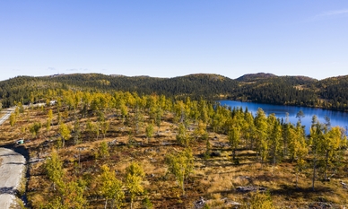 Bilde av eiendommen