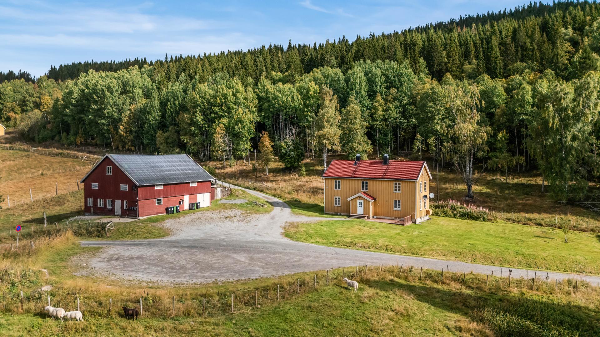 Velkommen til Jeppedalsvegen 123! Foto: Ann-Helen Nannestad . Bilde nummer 2 av 3