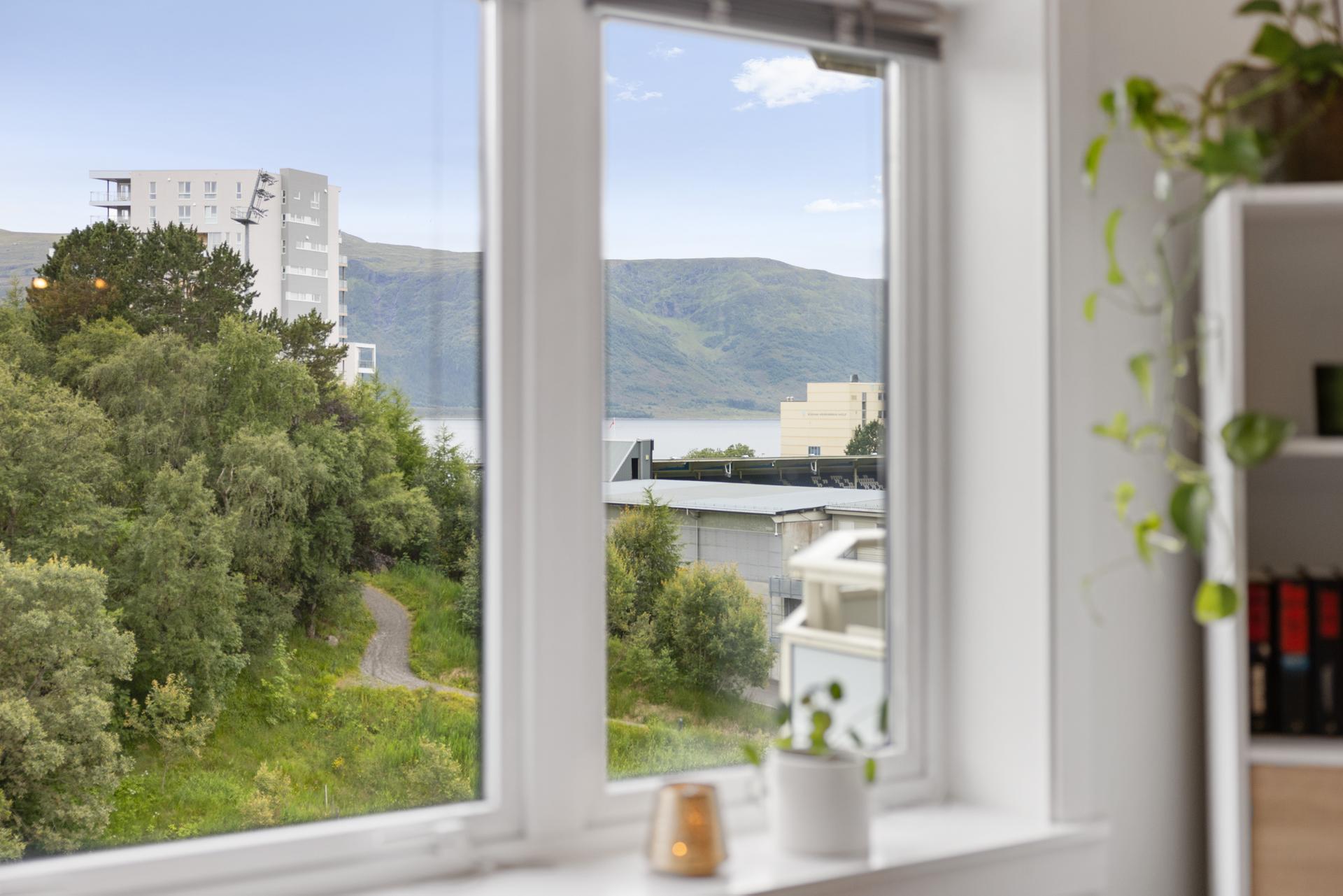 Utsikt fra stuen . Bilde nummer 3 av 3