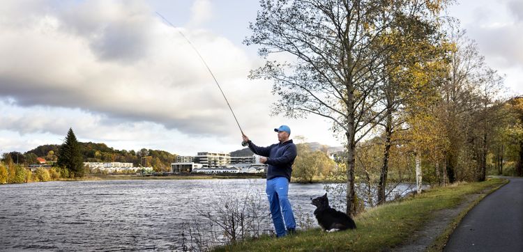 Bilde fra området