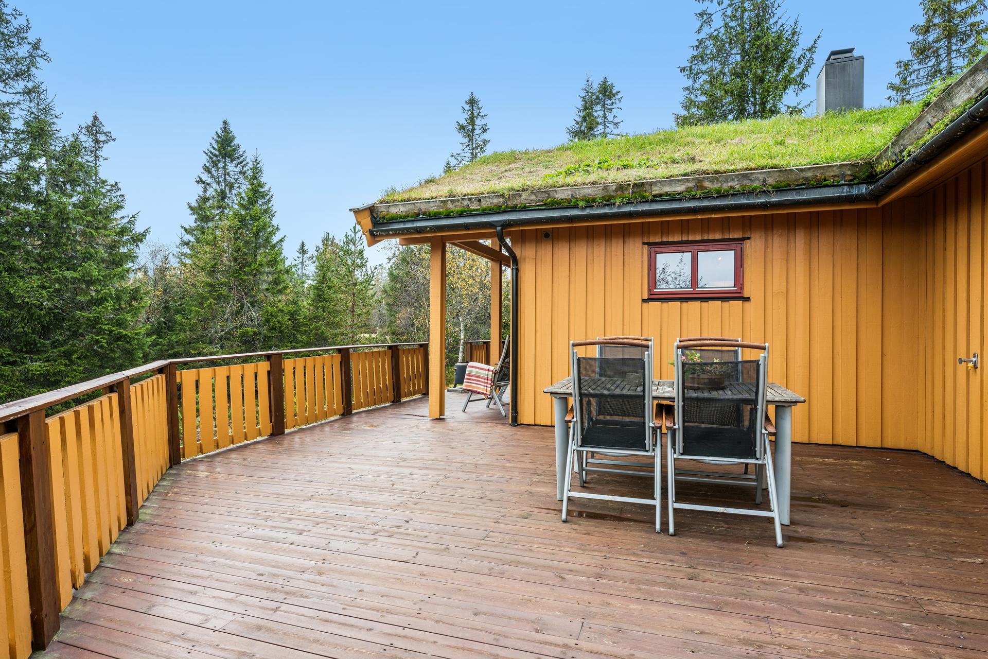 Fritidsbolig oppført i 2008 over ett plan med torvtak og romslig terrasse.. Bilde nummer 2 av 3
