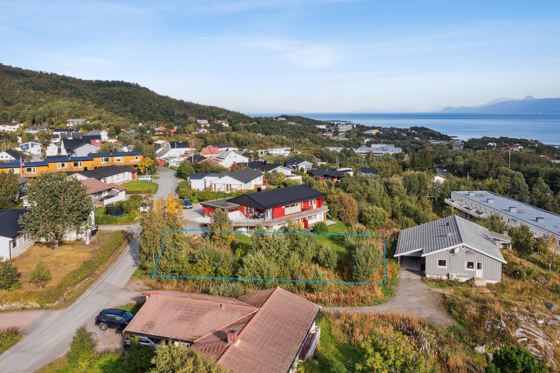 Bare illustrasjonsstreker - se forrige bilde for nøyaktig gjengivelse (bilde er tatt før tomta ble delvis opparbeidet). Bilde nummer 3 av 3