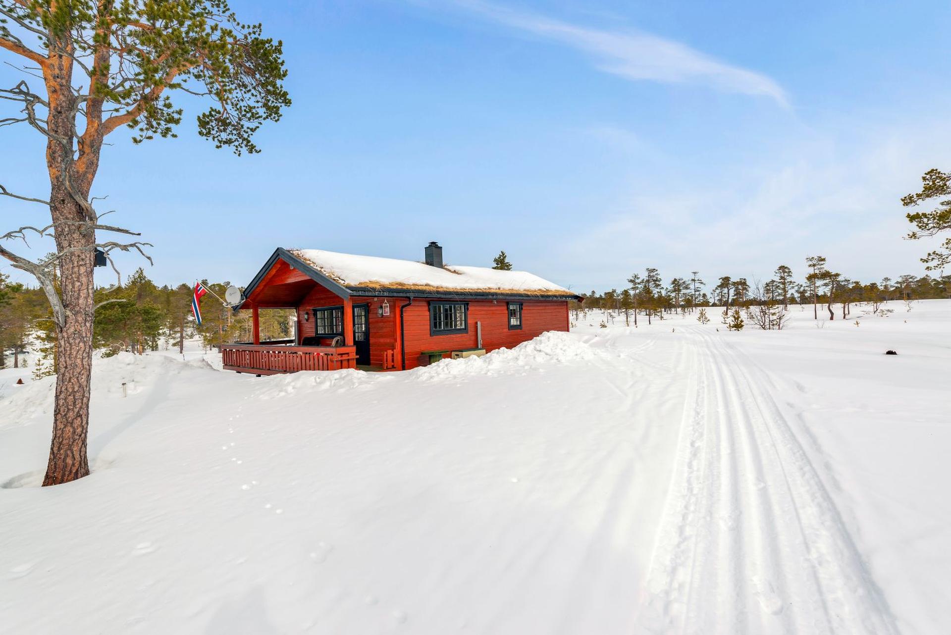 Flott hytte med solrik tomt og skispor i umiddelbar nærhet.. Bilde nummer 2 av 3