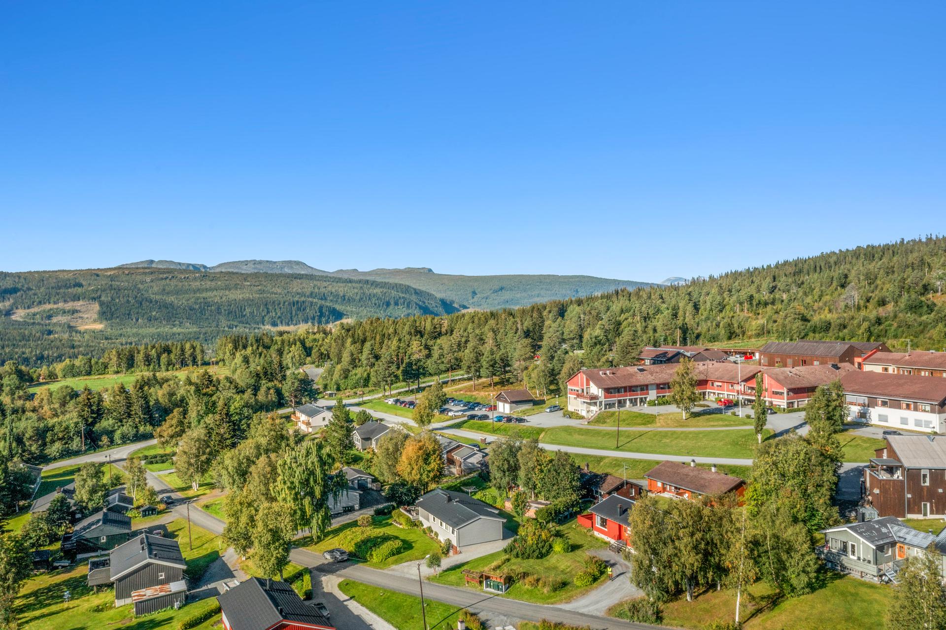 Nærområdet. . Bilde nummer 3 av 3