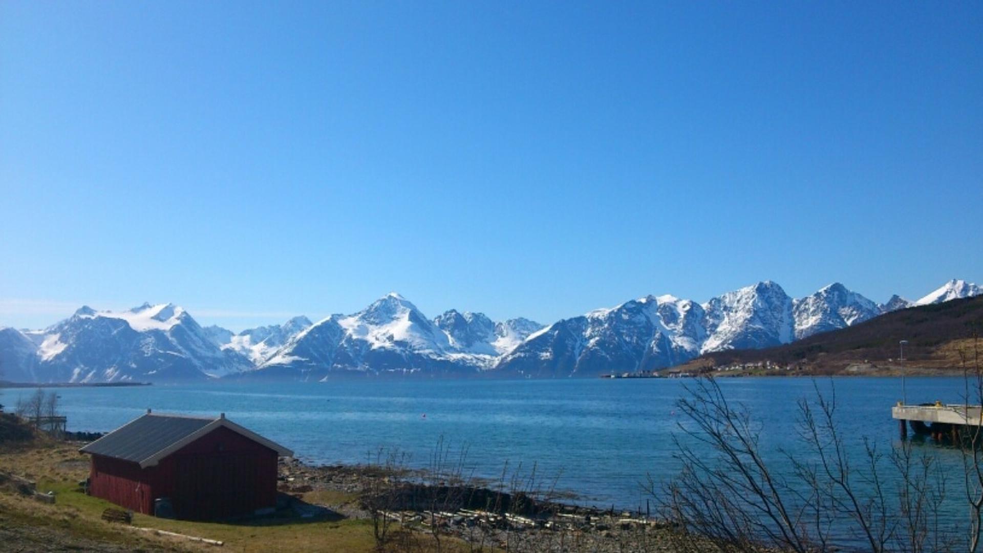 Her bor du med umiddelbar nærhet til storslått nordnorsk natur, med fjell og fjord rett utenfor døren.. Bilde nummer 3 av 3