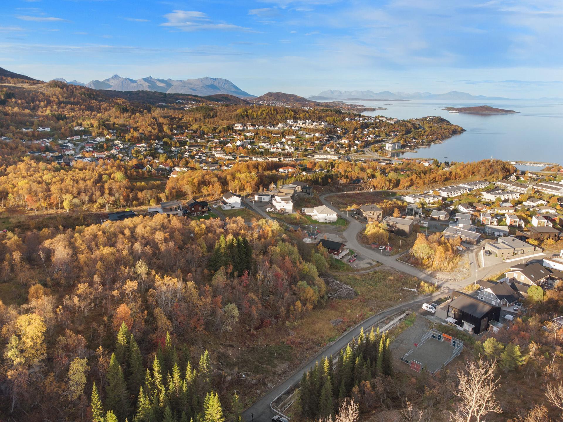En boligtomt i det nye populære boligområdet Mølnåsen. Bilde nummer 2 av 3