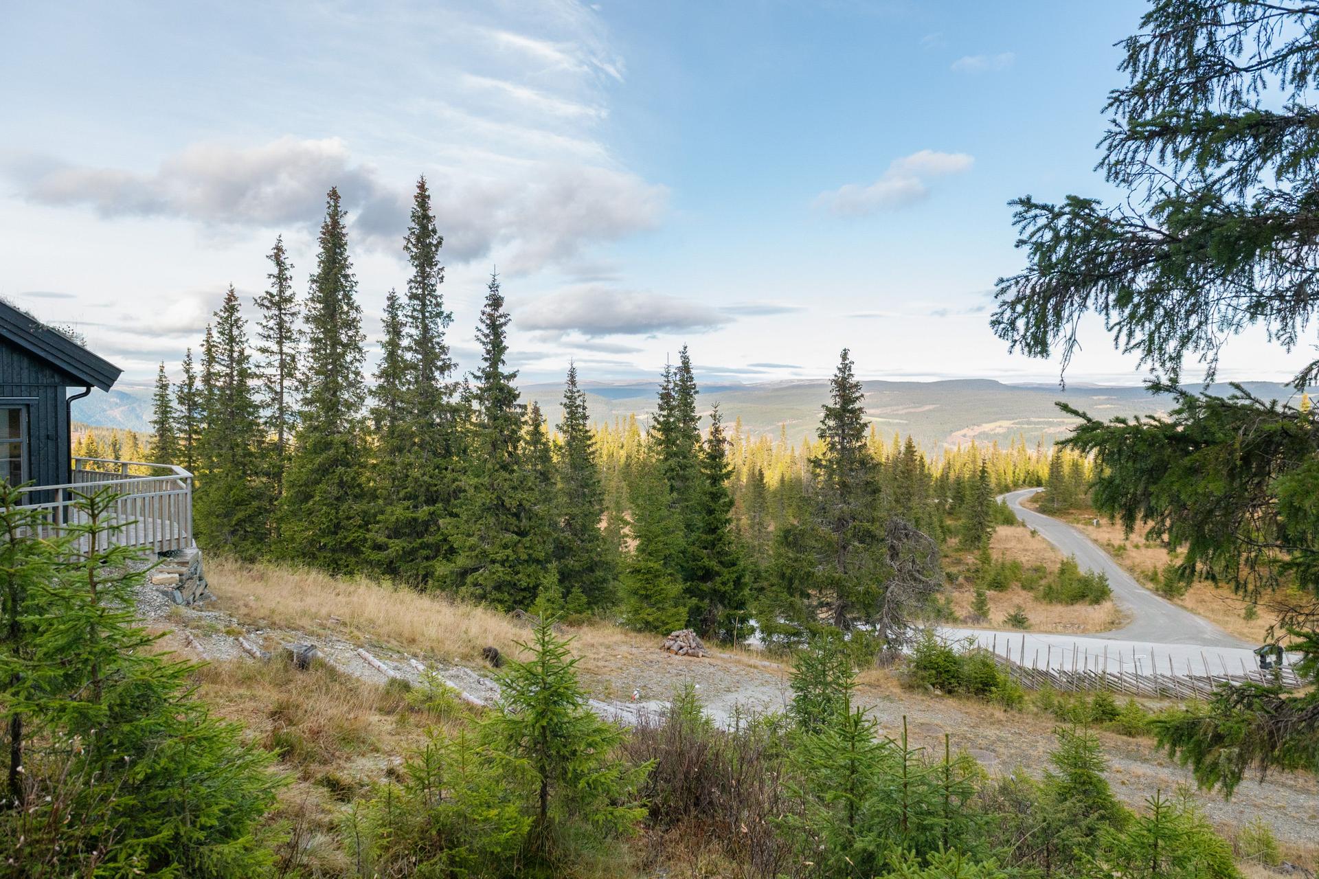 Fra tomteområdet er det vidstrakt utsikt mot dalen og omkringliggende fjellandskap.. Bilde nummer 3 av 3