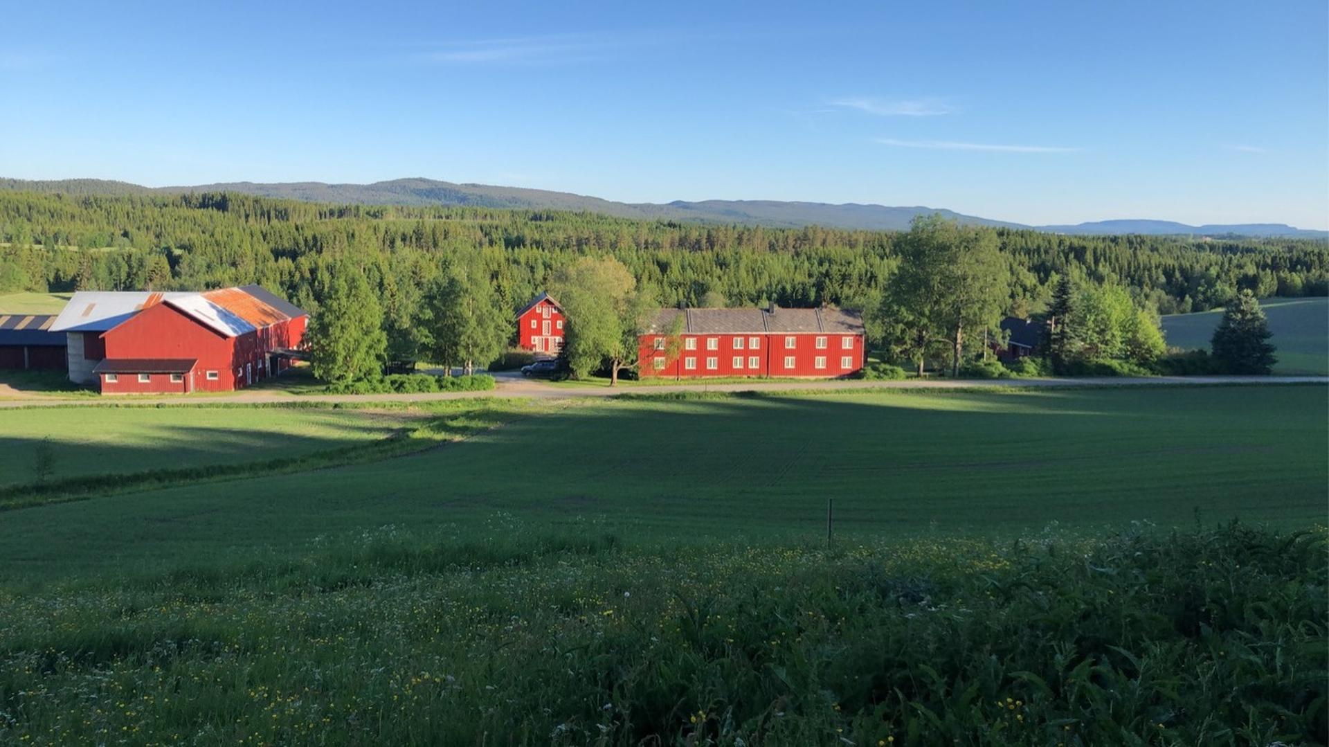 Oversiktsbilde av gårdstun. (privat foto). Bilde nummer 3 av 3