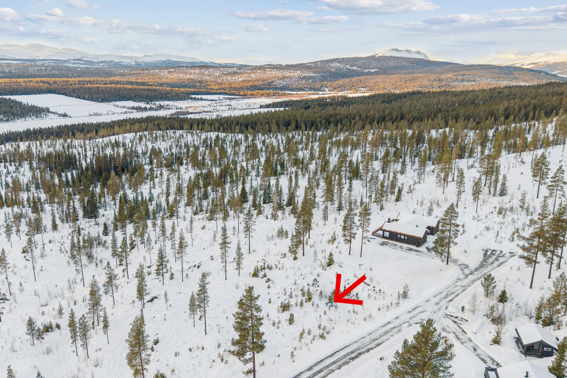 Velkommen til Harestubben 8! Foto: EFKT. Fotograf: Håkon Rybakken. Bilde nummer 1 av 3