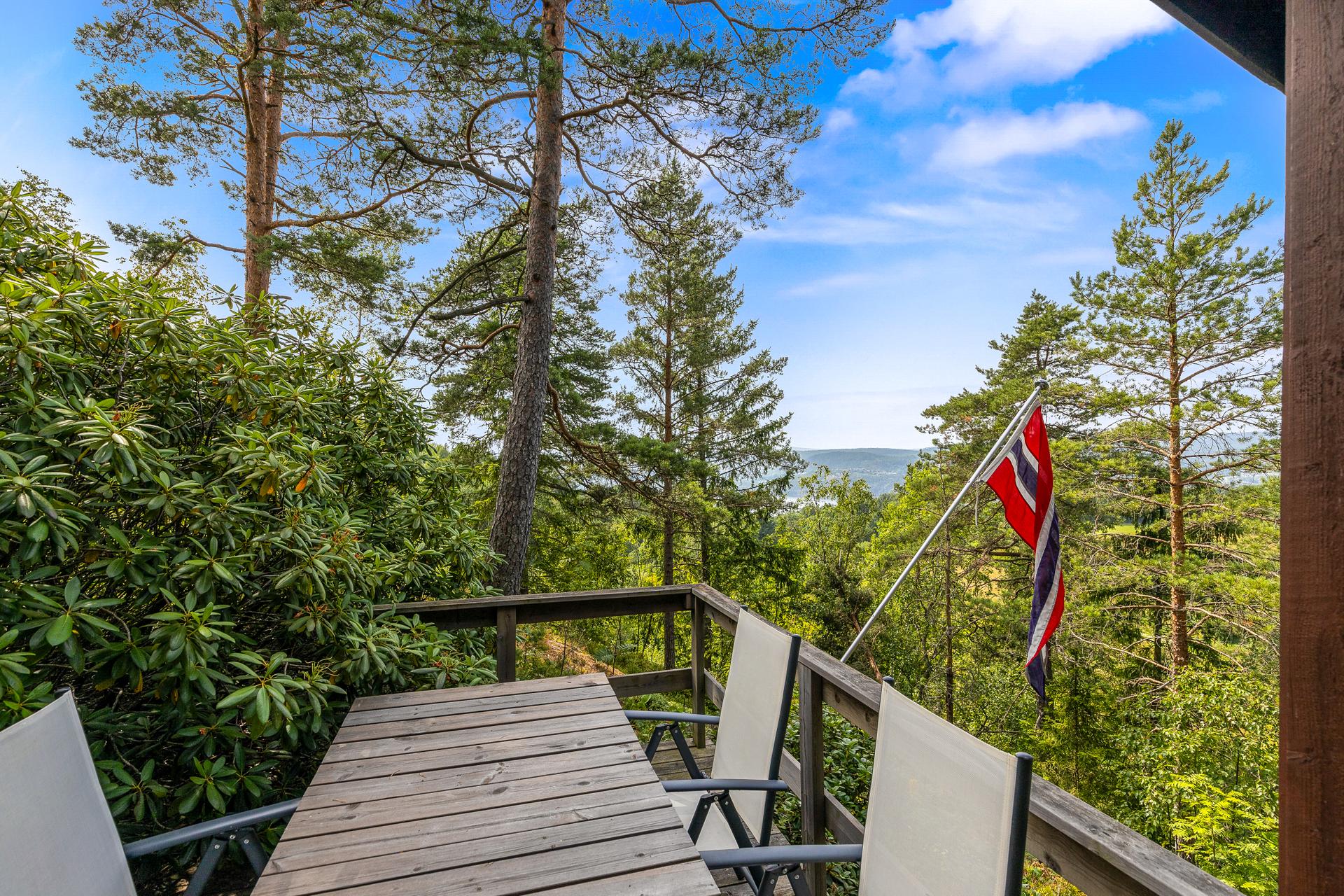 Fra terrassen er det utsikt over furuskogen og ned mot fjorden.. Bilde nummer 3 av 3