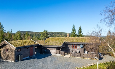 Bilde av eiendommen