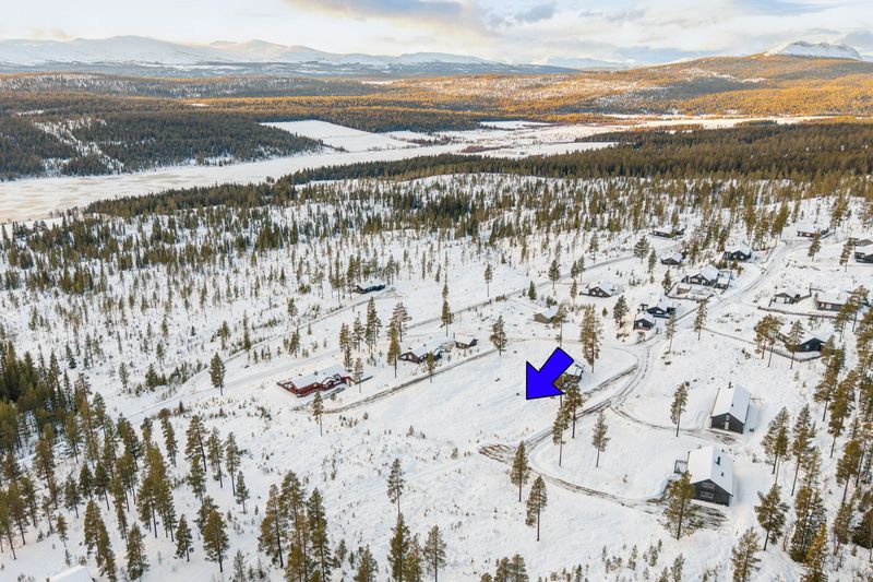 Tiurlitoppen 11