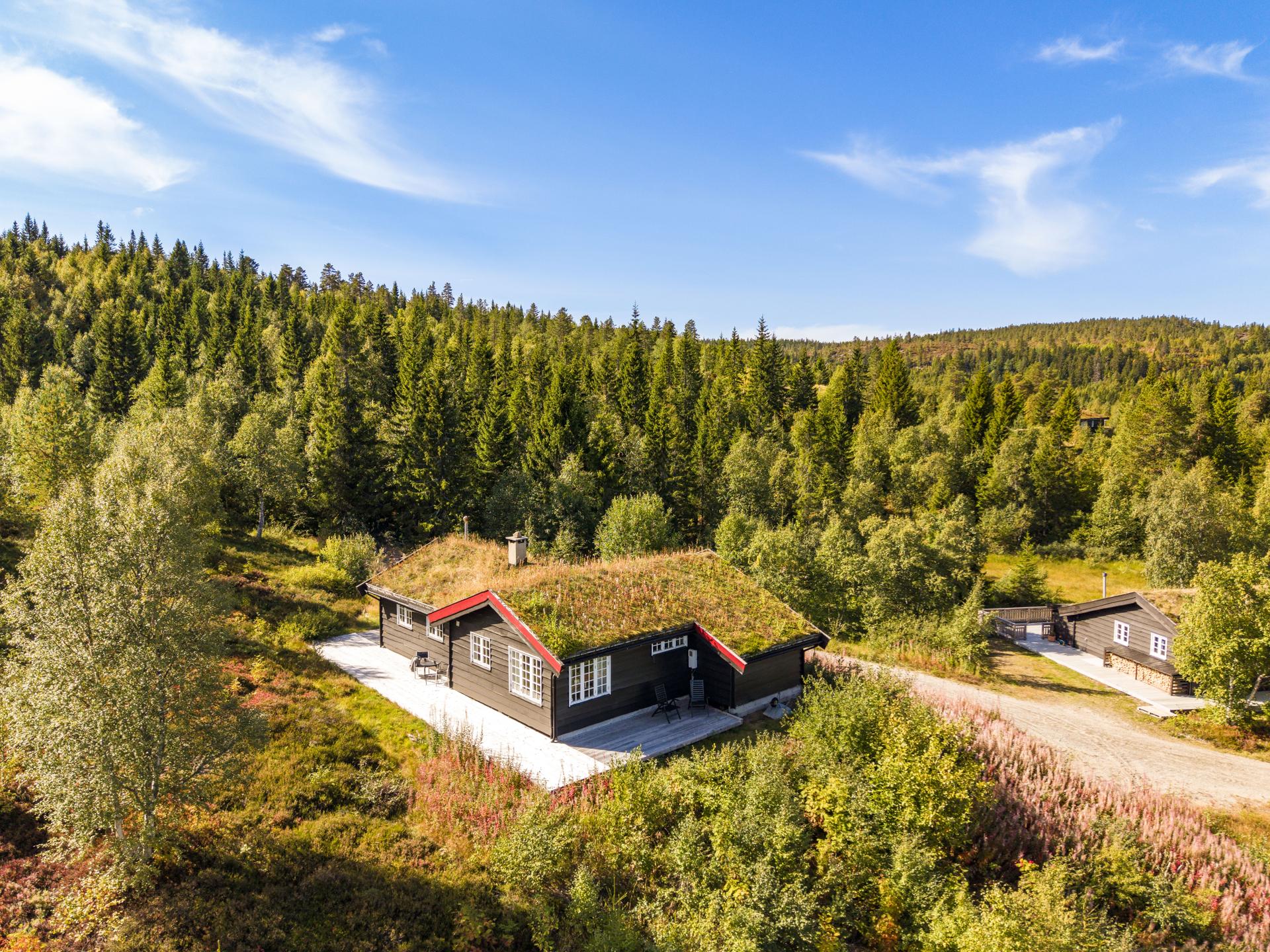 Eiendommen ligger i lett skrånende terreng med naturtomt og gruset adkomst.. Bilde nummer 2 av 3