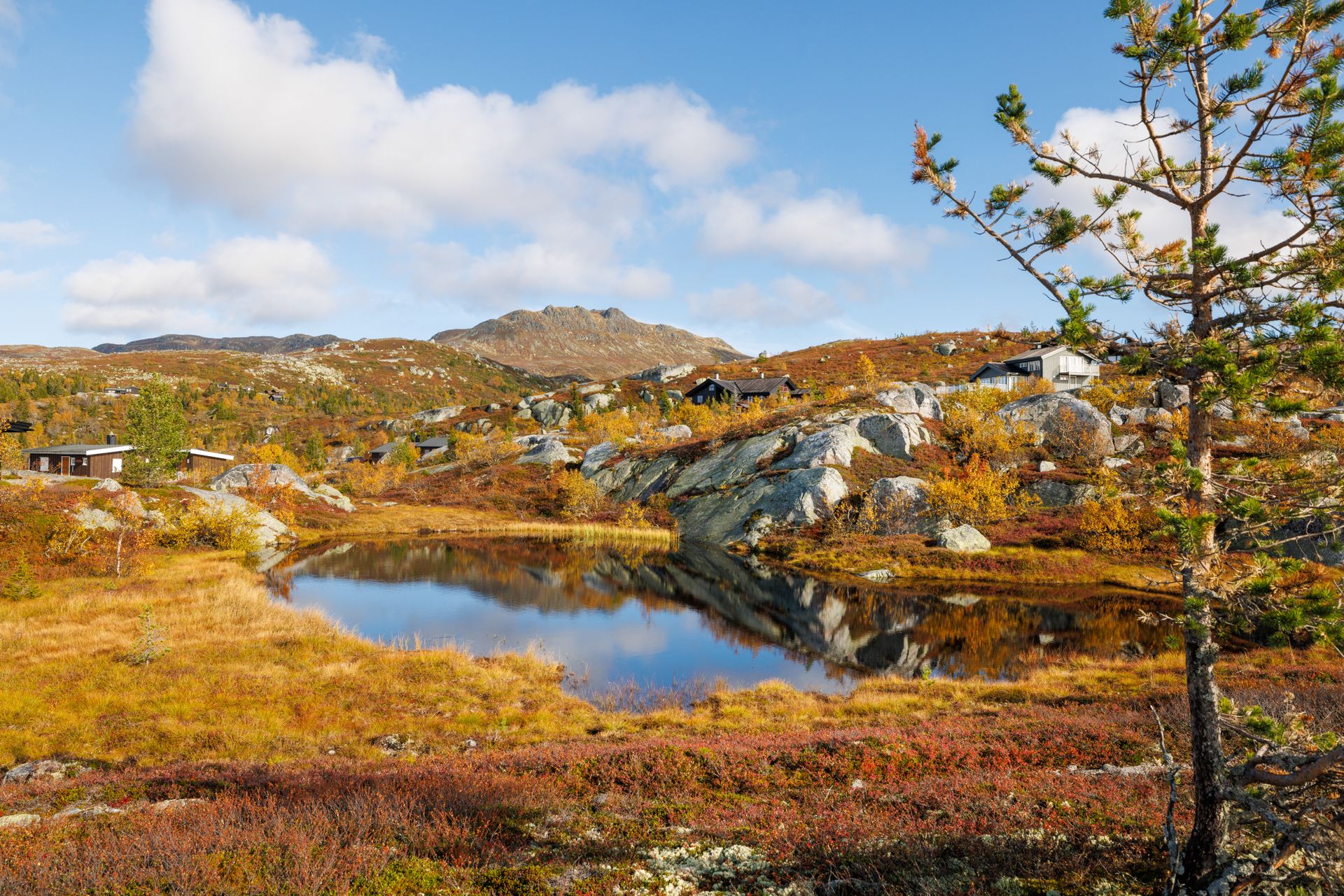 Velkommen til Istjenn på Tempelseter!. Bilde nummer 1 av 3