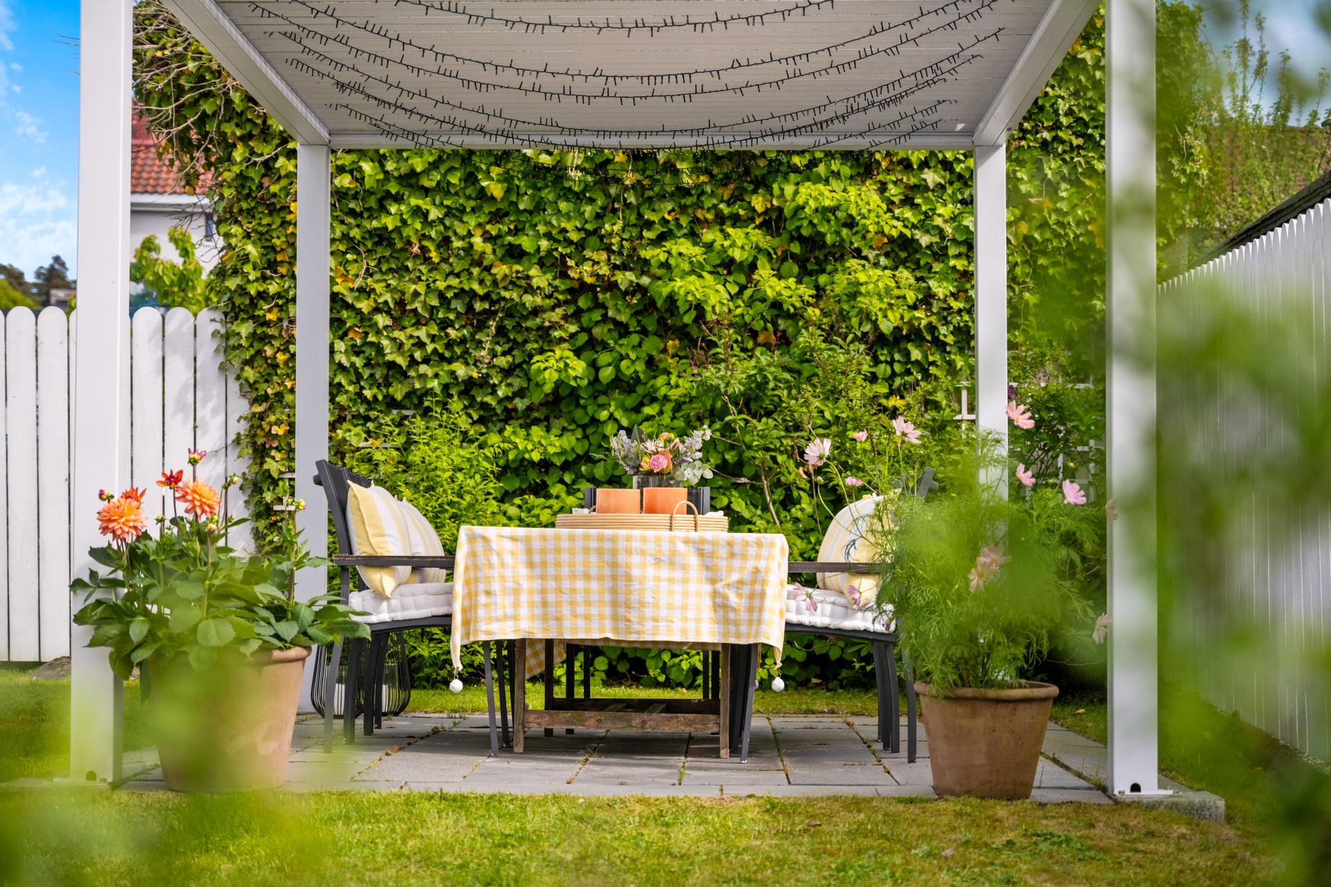 Koselig Pergola som er innrammet av beplantning om sommeren.. Bilde nummer 3 av 3