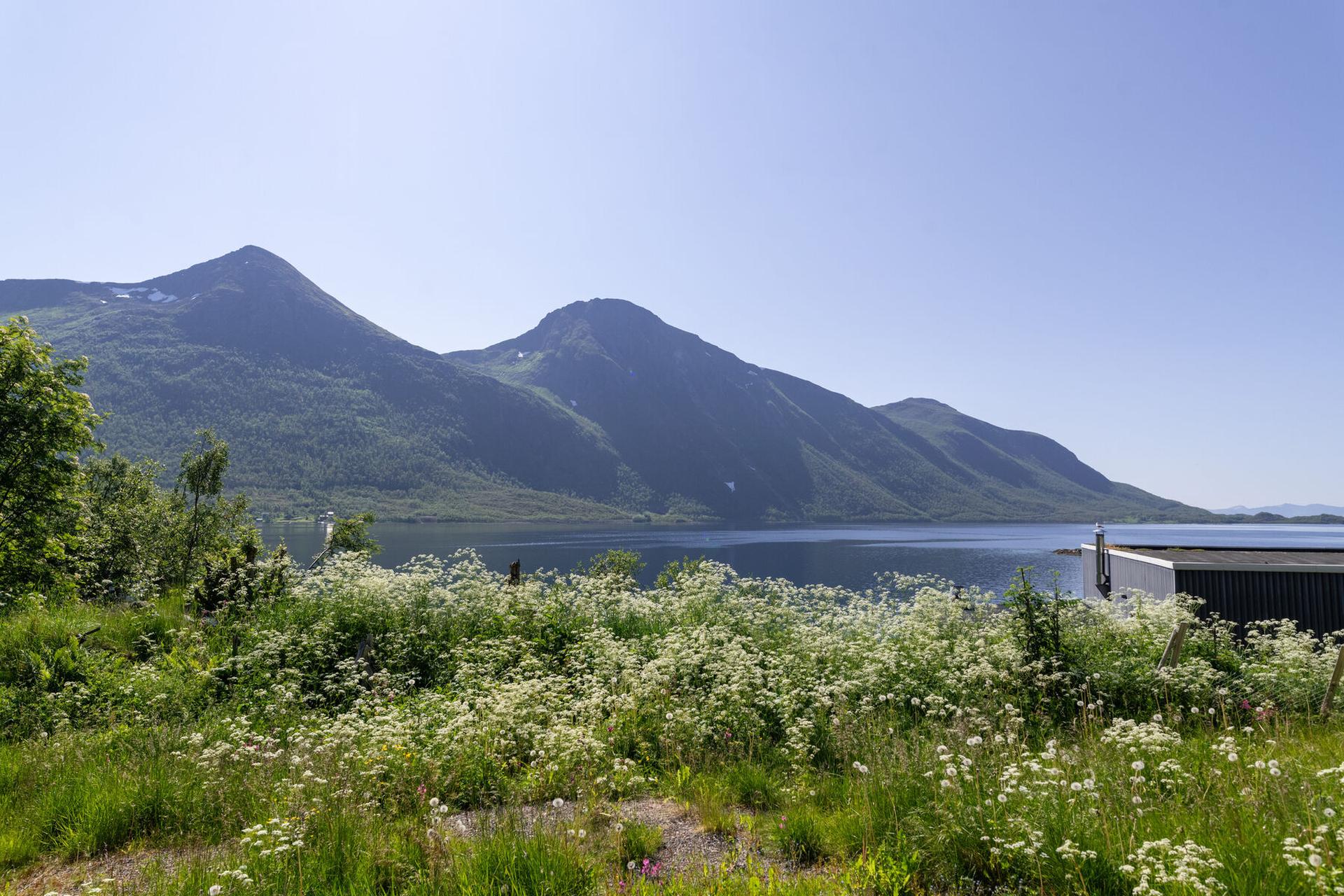 Nygård - Hagen i Sigerfjord - En sjønær utsiktstomt i vakre Sigerfjord. Foto: Lunde Images AS. Bilde nummer 1 av 3