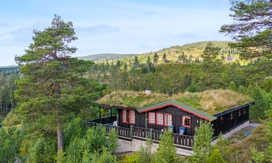 Bilde av eiendommen