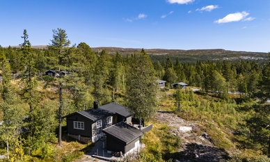 Bilde av eiendommen