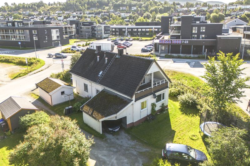 Guldbergaunet 4
