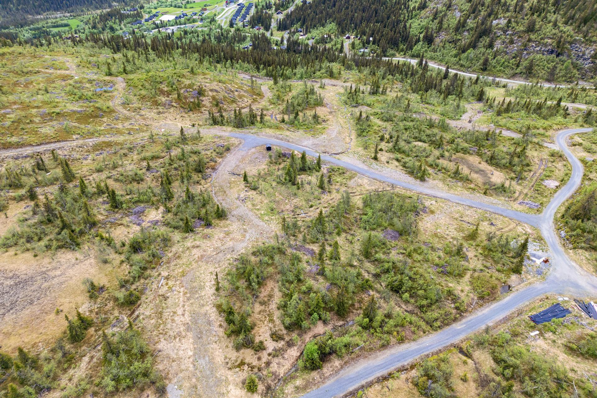 Vestvendt og skrånende hyttetomt på cirka 950 meter over havet i Stavedalen Øst.. Bilde nummer 2 av 3