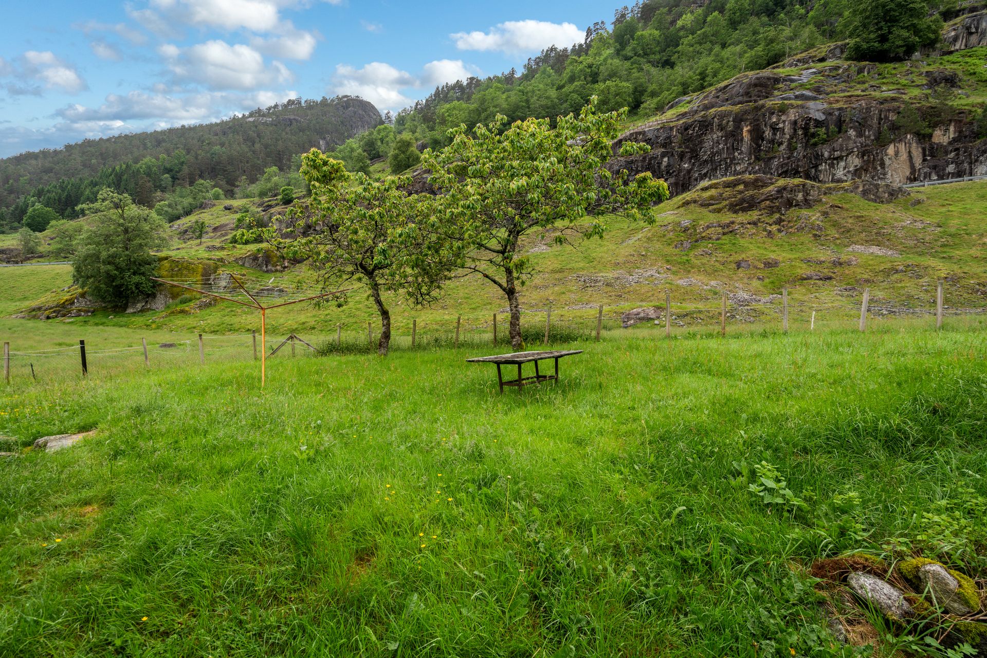 Stor, opparbeidet tomt med plen og beplantning.. Bilde nummer 3 av 3