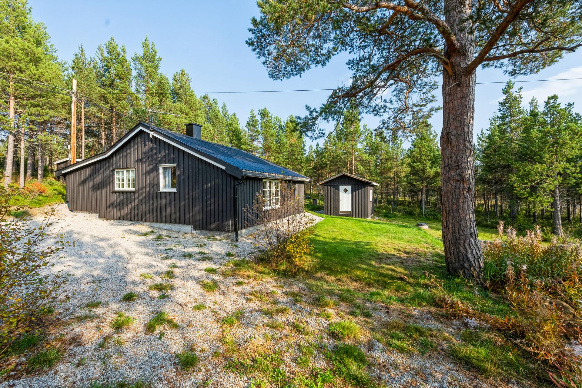 Velkommen til Folldalsvegen 2056!. Bilde nummer 2 av 3